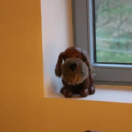 Chaumiere D'albatre -gite-detente Nature Et Bien Etre *